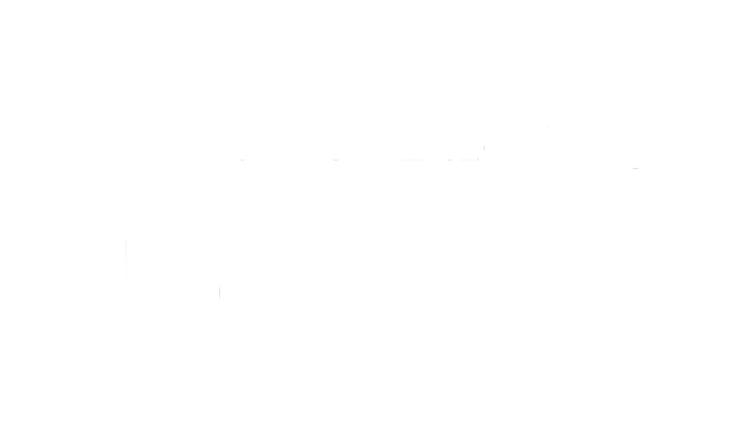 Shannon Litzenberger