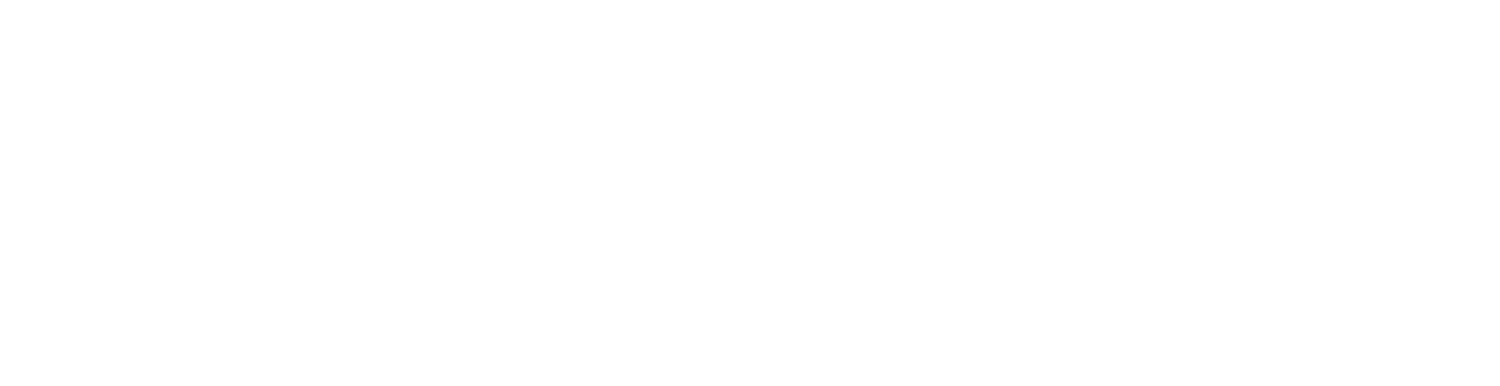 Toronto Met Film Festival